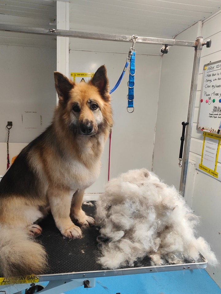 Deshedding