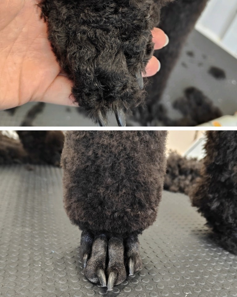 Nail trimming